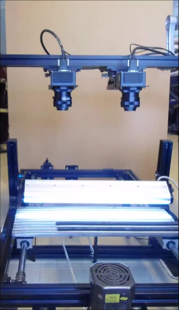 Two line-scan cameras mounted side by side on the gantry