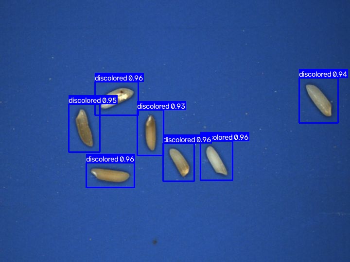 Discoloured grains highlighted for sample analysis