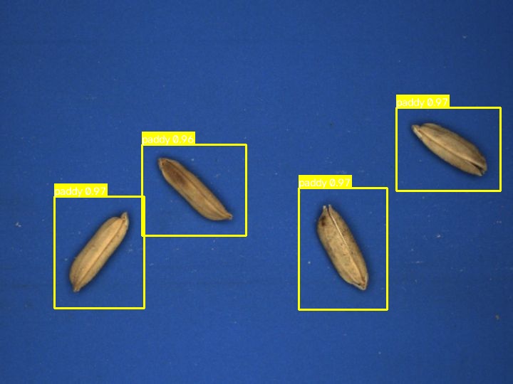 Paddy grains identified individually in the camera view